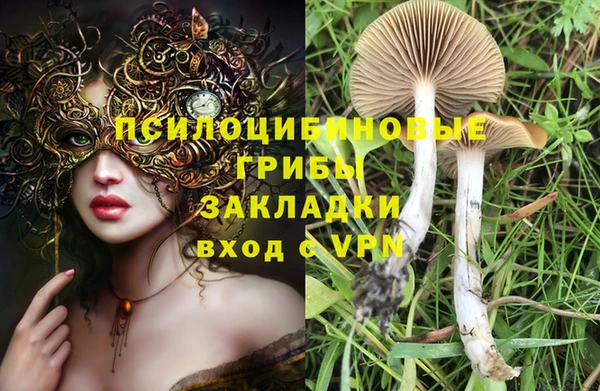 круглые Алзамай