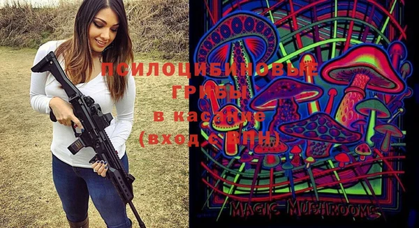 гидра Осташков
