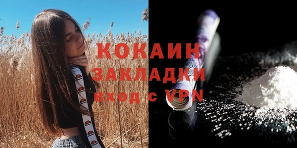 амф Няндома
